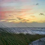 Strandkrone