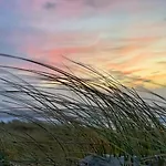 Strandkrone 아파트 *